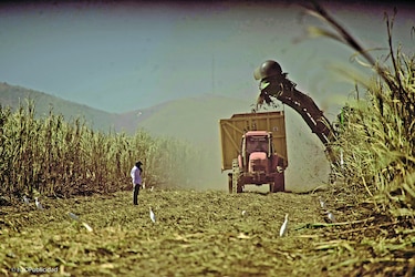 Al compás del agro digital