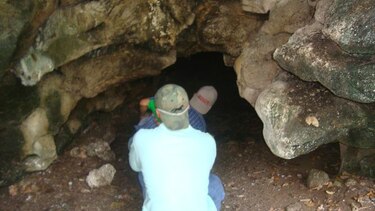 Disminuye la incidencia de mordedura de vampiros en Azuero