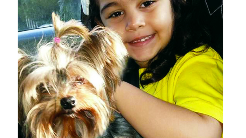 Consentidos: Aventuras de ‘Brigitte’