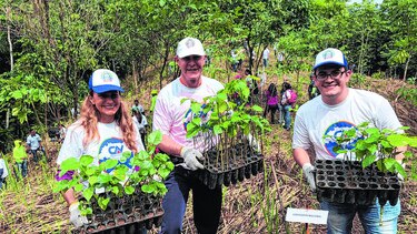 CN participa en jornada de reforestación