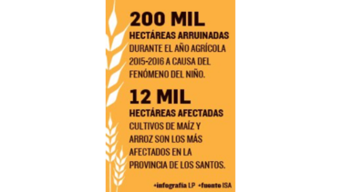 Falta de planificación agudiza crisis en el agro