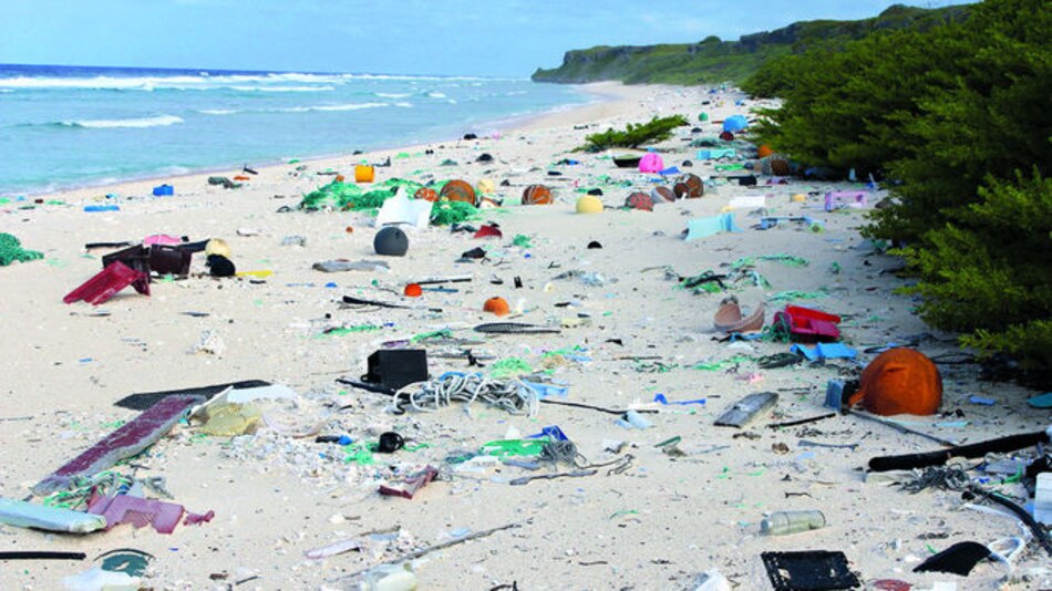 Hallan toneladas de basura en isla