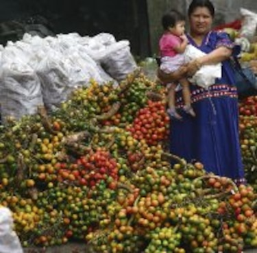 Alimentos como medicina