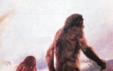 ¿De dónde venimos?