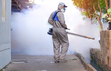 Hay unos 1,431 casos acumulados de dengue en todo el país