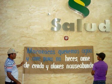 Macaraqueños exigen cierre definitivo de porquerizas