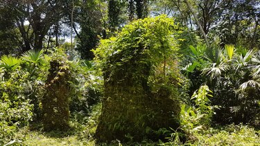 La capilla de la palangana