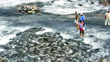 Incineran neumáticos en sitio clandestino