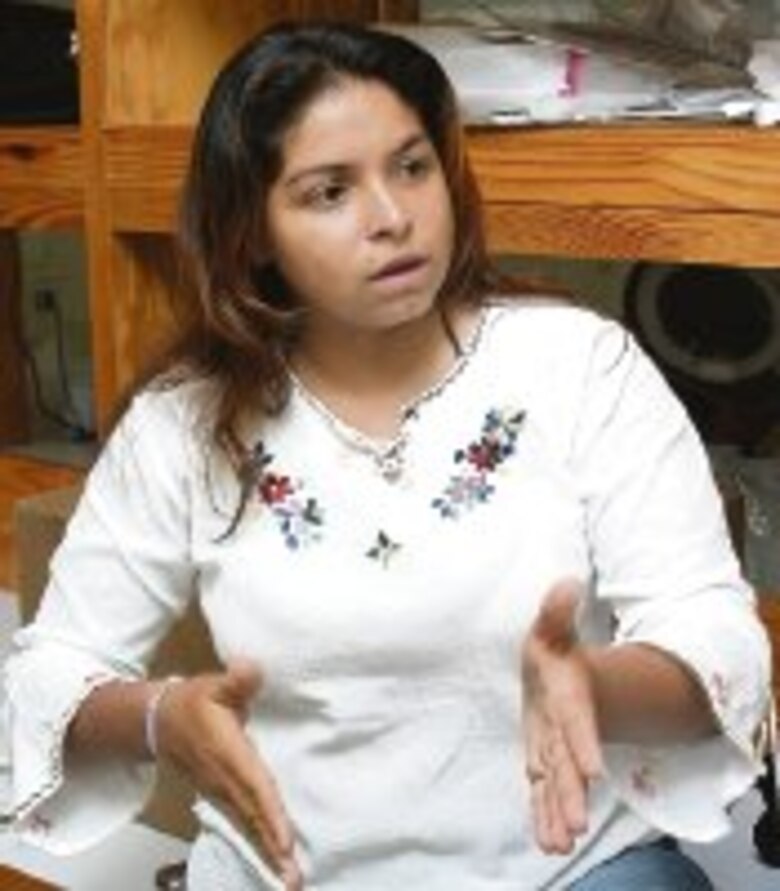 Estudian insectos de río