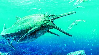 Monstruo marino del Jurásico sale del anonimato