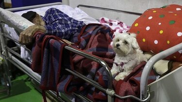 Al menos 247 muertos y numerosos desaparecidos por devastador terremoto en Italia