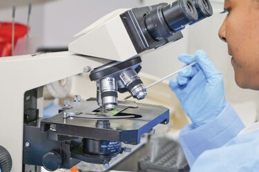El Gorgas logra descifrar el ADN del virus enemigo