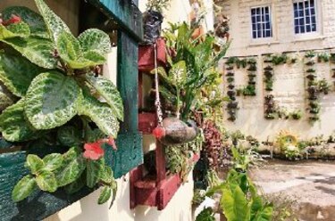 Jardines en las paredes escolares