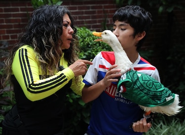Merlín, la sensación con alas salva un Mundial y a su familia mexicana