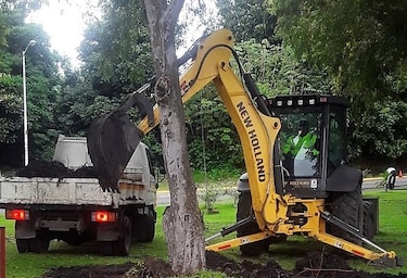 Áreas revertidas son evaluadas para realizar proyectos de reforestación
