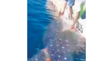 Un grito de auxilio desde el mar