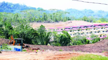 Por deforestación piden menos barriadas