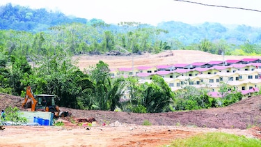 Por deforestación piden menos barriadas