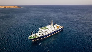 Qué es el hantavirus, la infección sospechosa de causar 3 muertes en un crucero que zarpó de Ushuaia