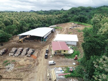 Teca de Darién para el mundo