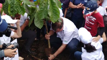 Miles de voluntarios participan en jornada de reforestación nacional
