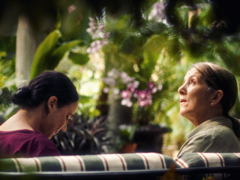 Dos películas panameñas triunfan en festivales internacionales de cine