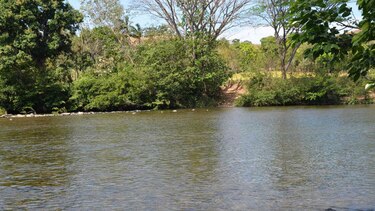 Red de Derechos Humanos de Panamá en alerta por acoso a una ambientalista