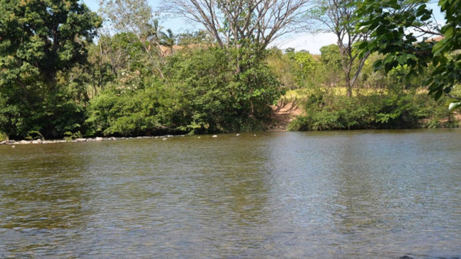 Red de Derechos Humanos de Panamá en alerta por acoso a una ambientalista