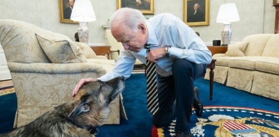 Murió Champ, uno de los perros de la familia de Joe Biden