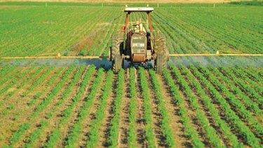 Sequía implacable condiciona cosecha de soja en Argentina
