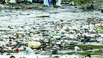 Jornada a favor de los océanos
