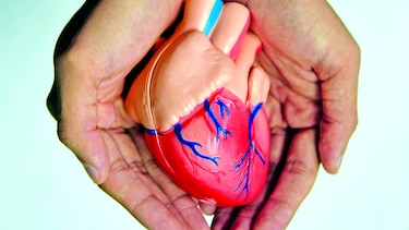 Corazones mayores a la edad real