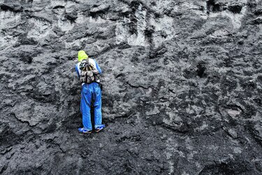 La historia contada por fósiles