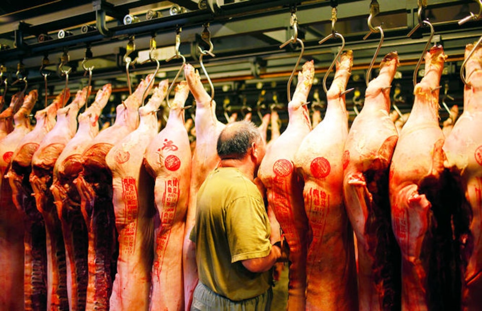 Por sobreoferta mundial, el precio del cerdo alcanza su precio más bajo en los últimos siete años