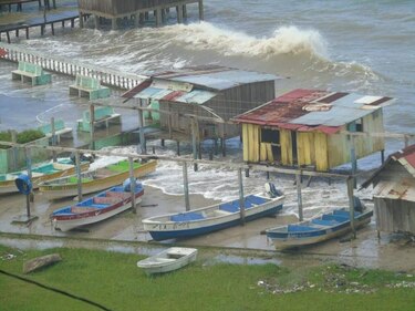 Kusapín se prepara para cambio climático