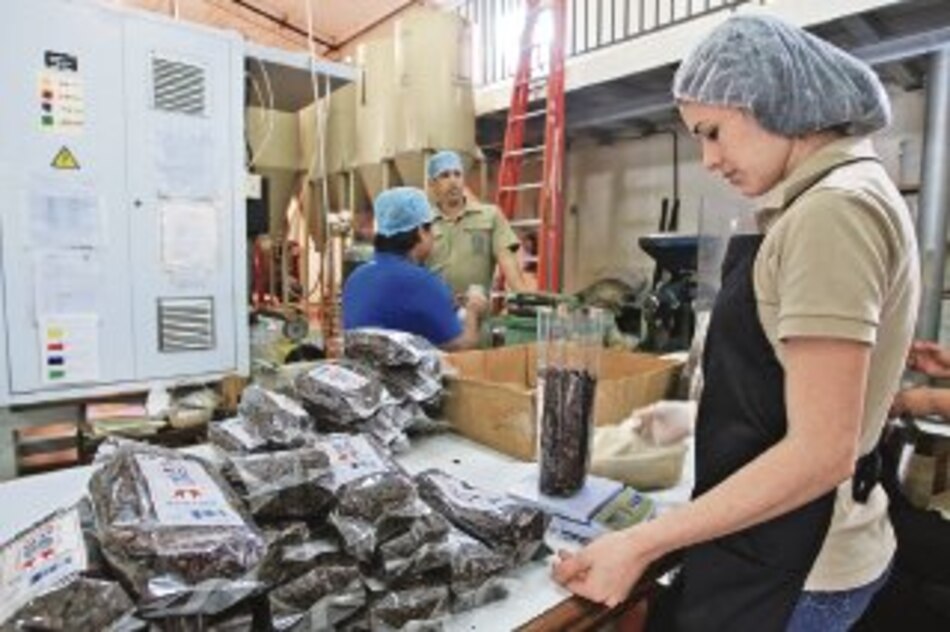 La historia tras la ruta del café