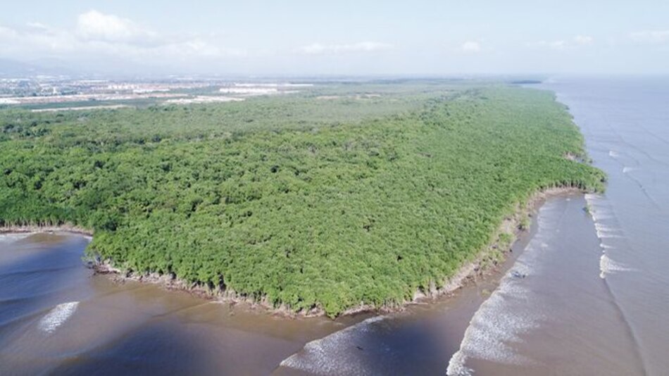 Sala Tercera suspende Estudio de Impacto Ambiental de proyecto cerca a reserva