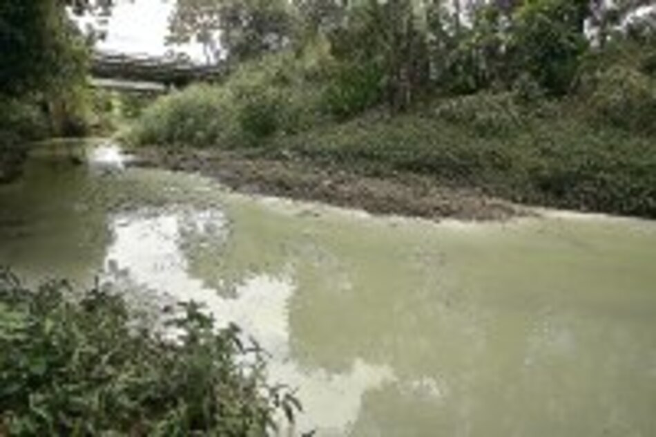 Sustancia extraña tiñe de blanco las aguas del río Tapia