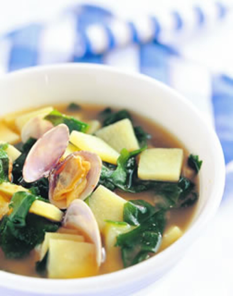 Los tipos que hay de sopas