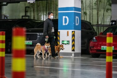 Comité de urgencia de OMS advierte que la pandemia aún es una emergencia sanitaria que genera preocupación