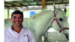 El doctor de los caballos