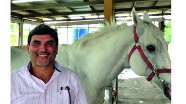 El doctor de los caballos